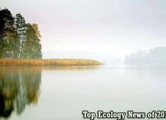 Ecology News in 2017