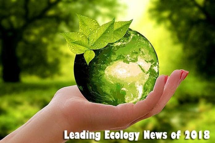 Ecology News in 2018