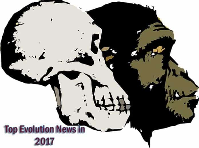 Evolution News 2017