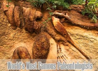 Famous Paleontologists