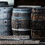 Fermentation Biology