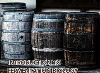 Fermentation Biology