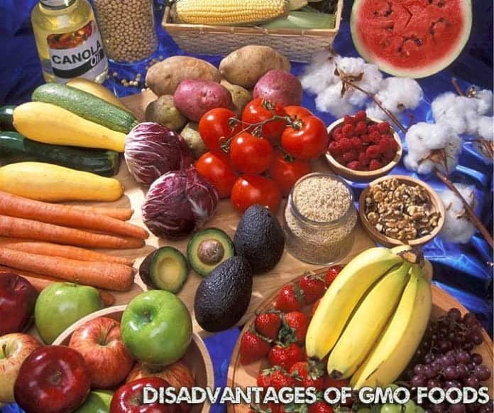 Genetically Modified Foods Disadvantages