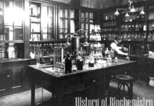 History of Biochemistry