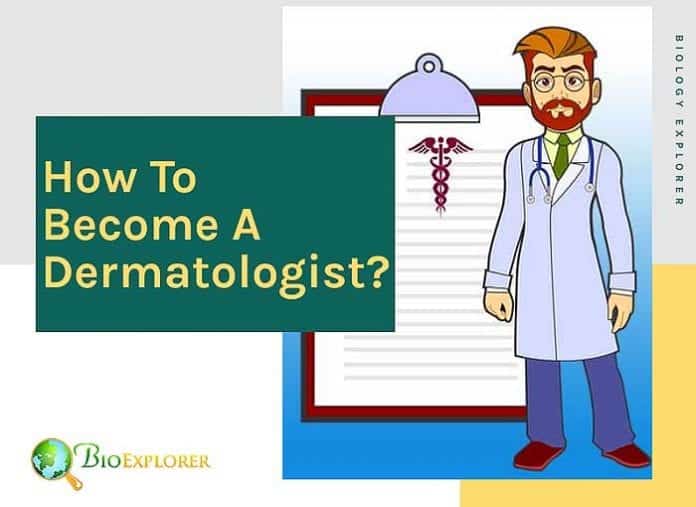 How to become a dermatologist?