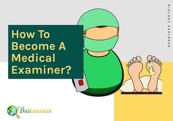 how-to-become-a-medical-examiner-educational-qualifications-salary