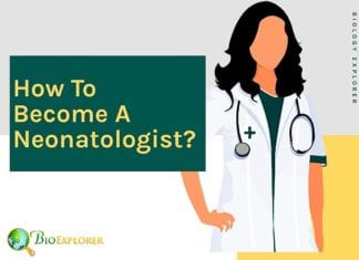 How to become a neonatologist?