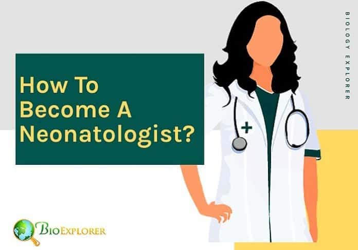 How to become a neonatologist?