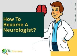 How to become a neurologist?