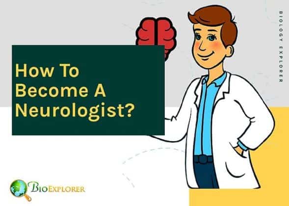 How To Become A Neurologist? | Educational Qualifications | Salary Info