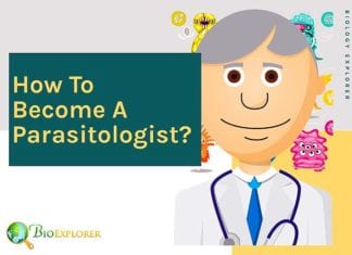 How to become a parasitologist?