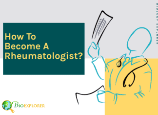 How to become a rheumatologist?