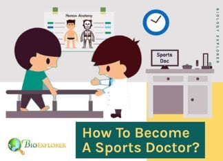 How To Become A Sports Medicine Physician?