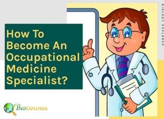 How to become an occupational medicine specialist?