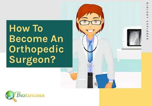 How To Become An Orthopedic Surgeon? | Educational Criteria | Salary