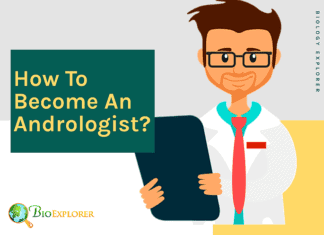 How to become andrologist?