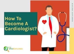 How To Become A Cardiologist? | Educational Qualification / Salary Info