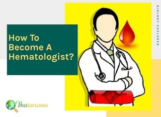 How to become a hematologist?