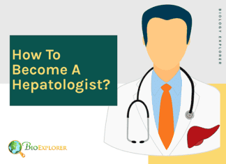 How to become a hepatologist?