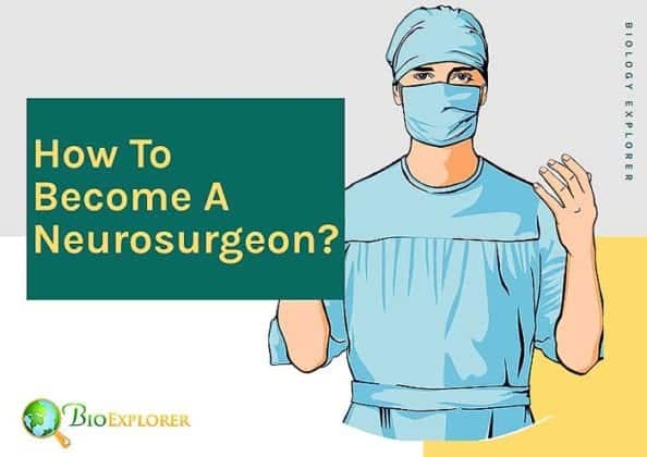 How To Become A Neurosurgeon? | Educational Qualification | Salary