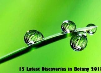 latest inventions in botany for 2018