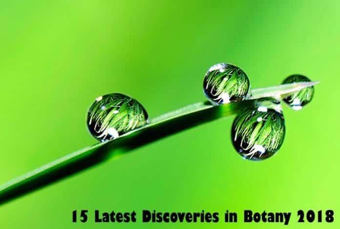 latest inventions in botany for 2018