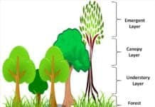 Types of Greenhouse Gases | Definition and Effects On Climate Change