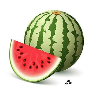 Medium Size Watermelon