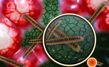 microbiology news in 2018