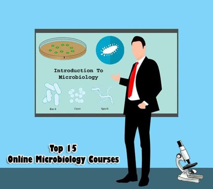 Top 15 Online Microbiology Courses For US Students Biology Explorer