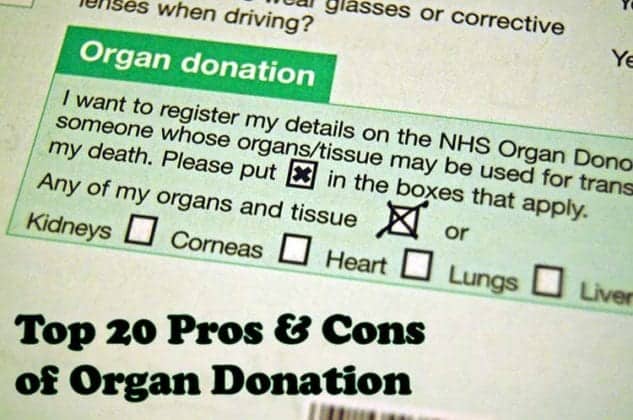 Top 20 Organ Donation Pros and Cons | Biology Explorer