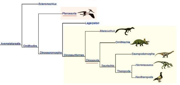 names of flying dinosaurs with pictures