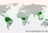 Rainforests in the world