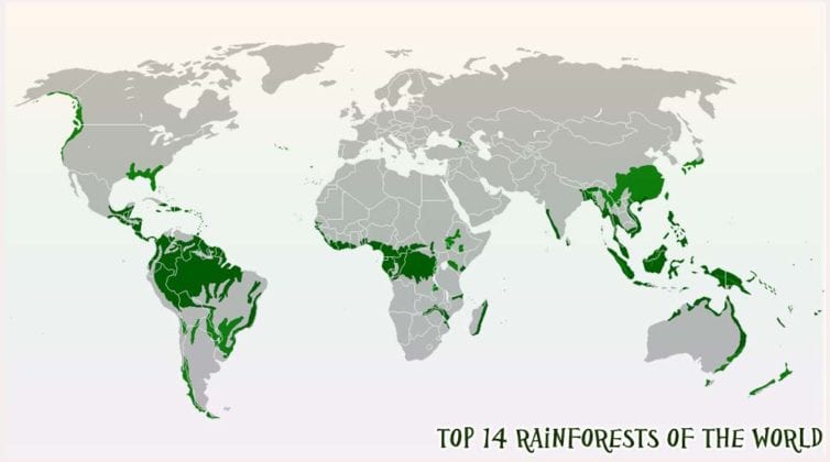 World S Top Rainforests Tropical Rainforests BioExplorer   Rainforests Of The World 754x420 