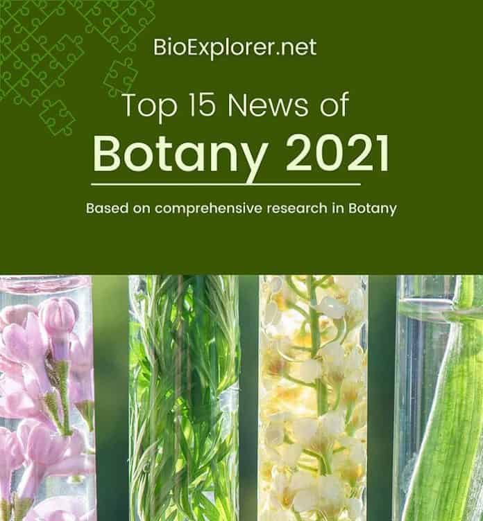 top botany news of 2021