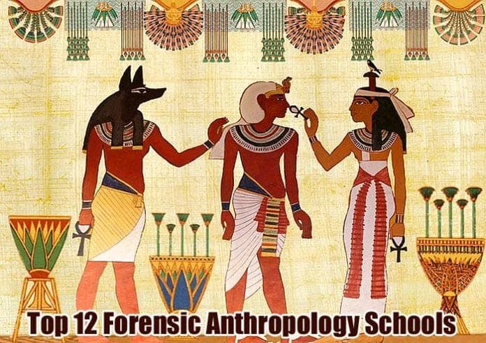 Forensic Anthropology Schools