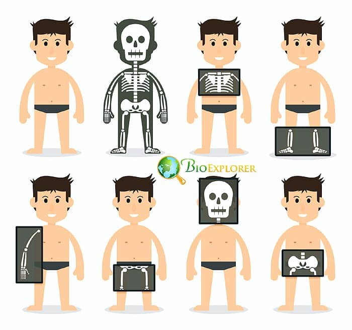 Types of Radiologists