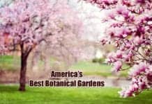 US Botanical Gardens