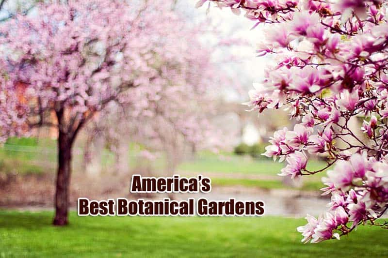 Best Us Botanical Gardens Top 15 Botanical Gardens In America Usa