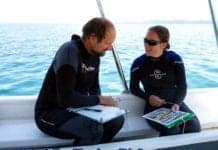 what do marine biologists do?