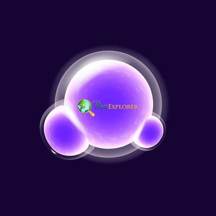 Cell Division