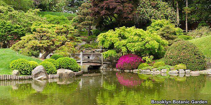 Brooklyn Botanic Garden