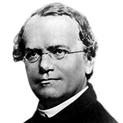 Gregor Mendel