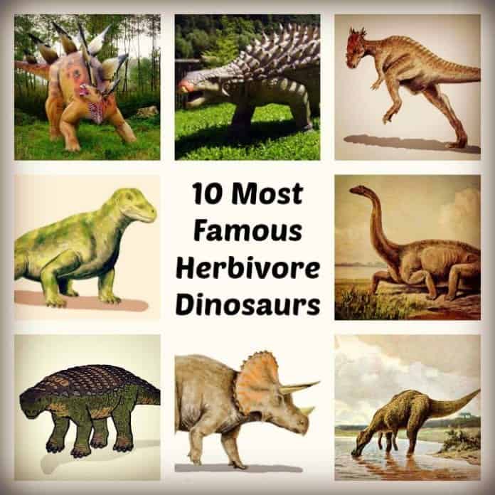 Herbivore Dinosaurs