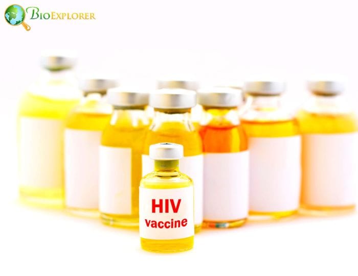 HIV Vaccine