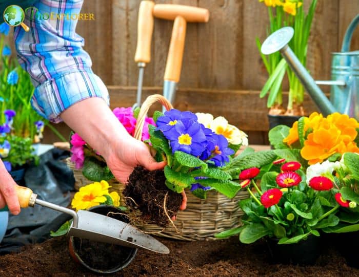 Flowering Plants