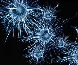 Neurons