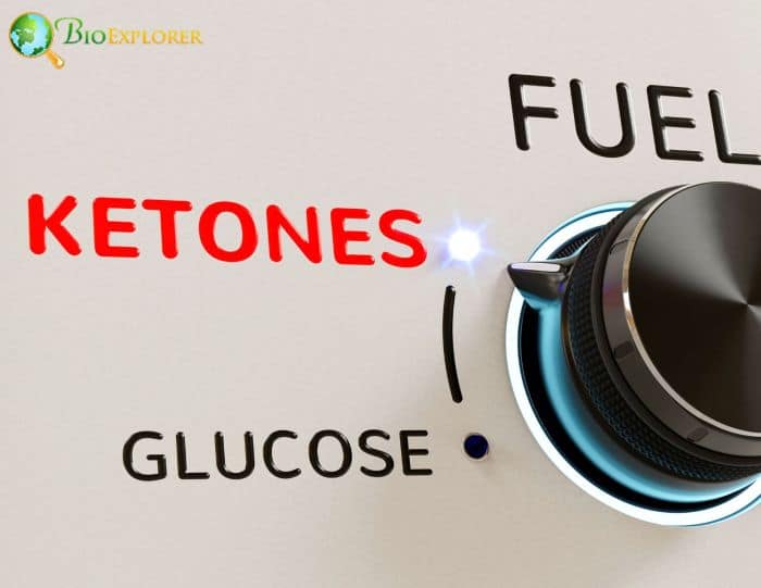 Ketone Supplements