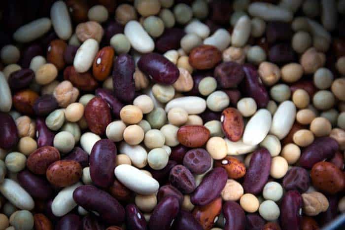 Soybean Proteins