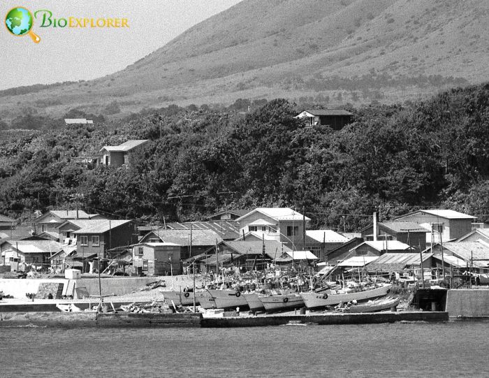 Fukushima Harbor